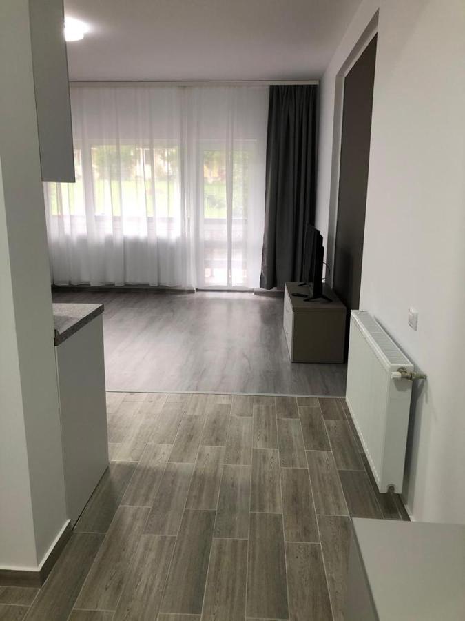 Elena-Maria Apartments Buşteni Eksteriør billede